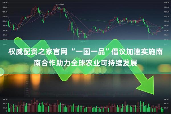 权威配资之家官网 “一国一品”倡议加速实施　南南合作助力全球农业可持续发展